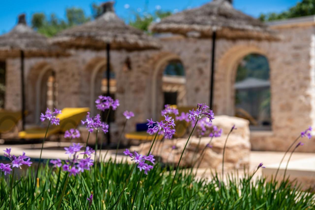 Bed and Breakfast Absolu Beldi Эс-Сувейра Экстерьер фото